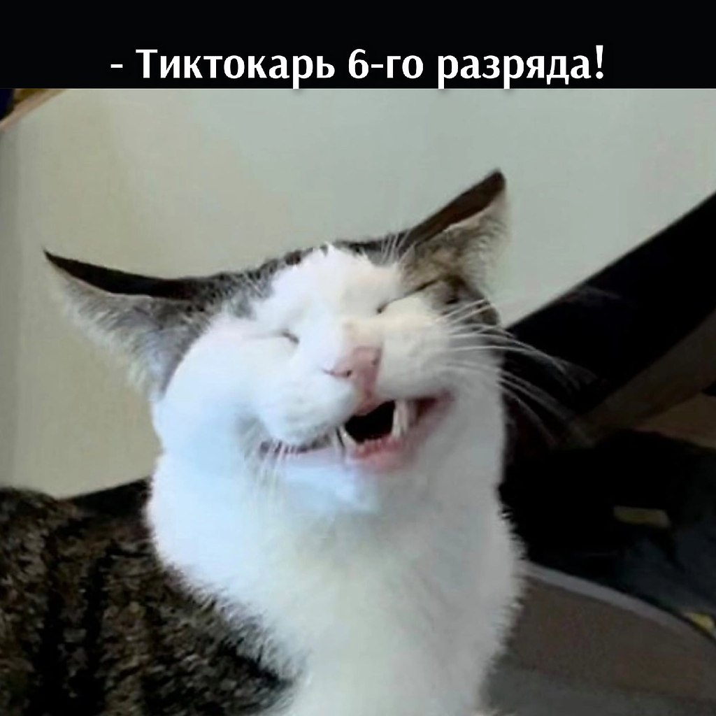       - 10  2022  14:55 - 4