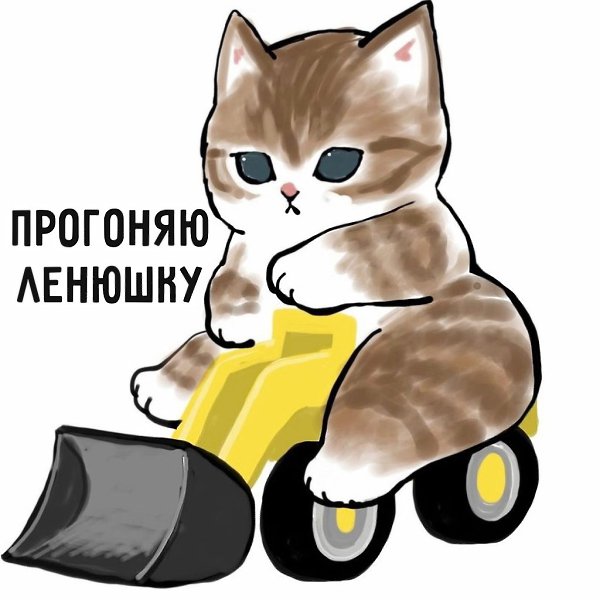 #�������@bon - 2