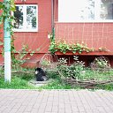 ���� 4-�� ������ - 2021 �.. ))) �� ������� ����������� )))�