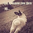 ���� �������, ����� - ��������� 14 ���� 2021 � ������ ���� ����������