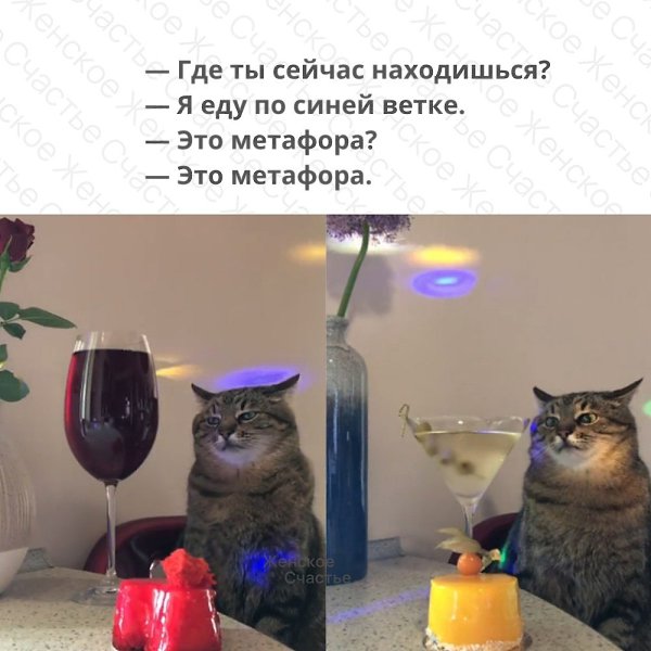 ����� � ��������.
