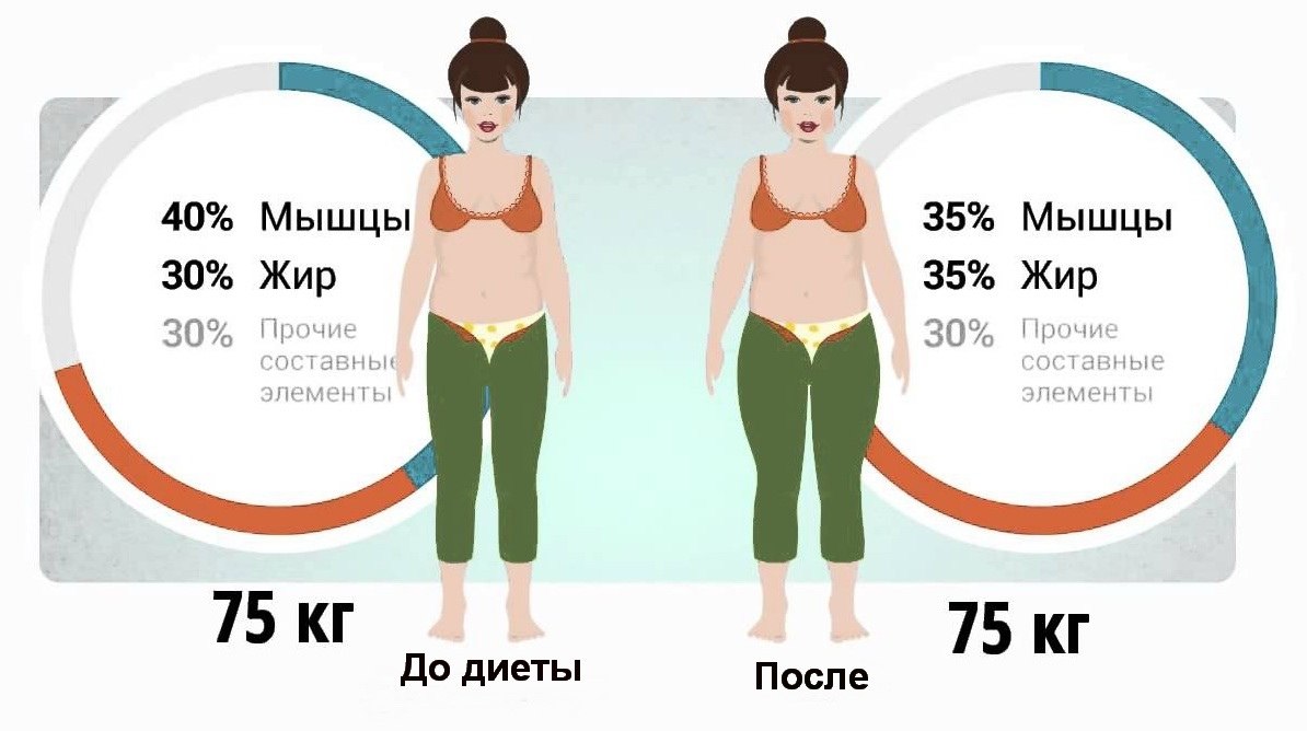 Живот плотный после тренировки для похудения