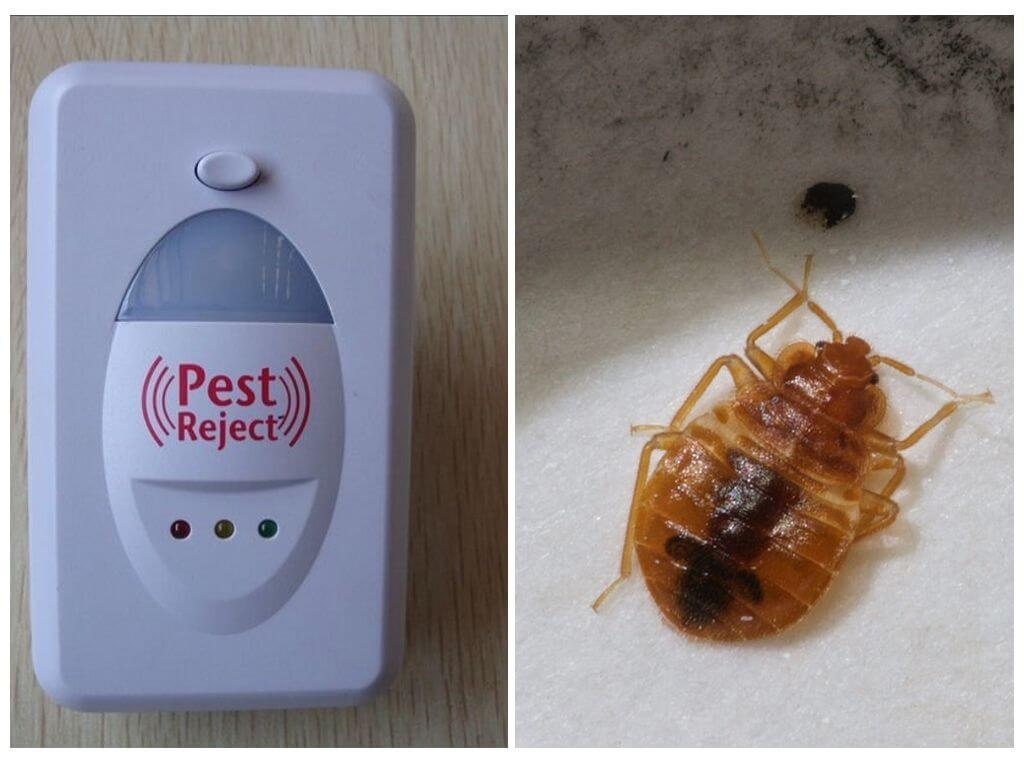   Pest-Reject     .  ,     ...