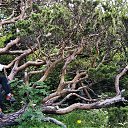 ���� ����, �����-���������, 55 ��� - ��������� 13 ���� 2021 � ������ ���� ����������