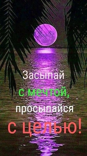   ! - 8  2021  23:31
