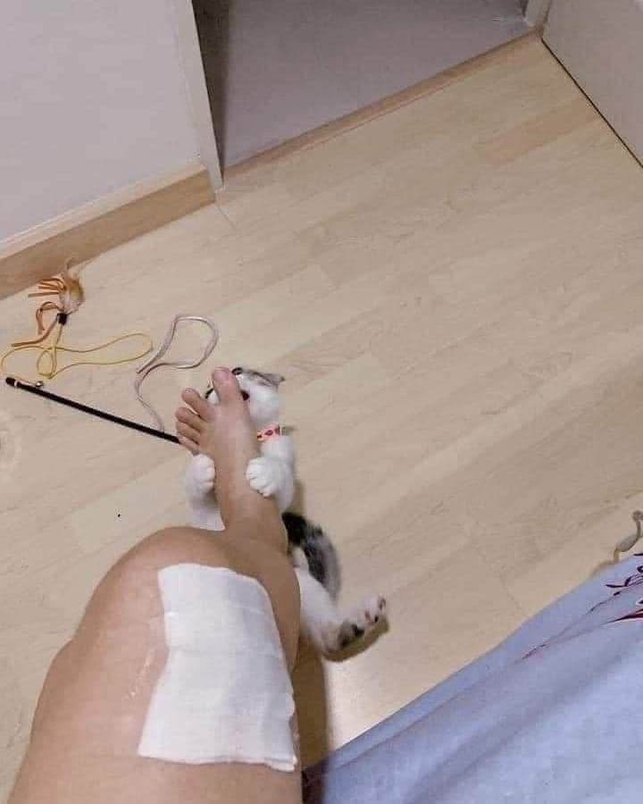  ,  .   ,  . - 3