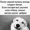 ���� �����, ���������, 50 ��� - ��������� 22 ������ 2021 � ������ ������ ��������