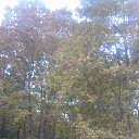 ���� Andrey, ����, 45 ��� - ��������� 29 �������� 2021 � ������ ���� ����������