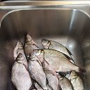 20.08.2021 �� ������� ���� ������