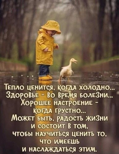 Всё будет хорошо! - 5 декабря 2021 в 23:51