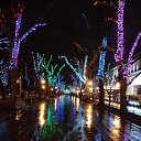 ���� Bojenochca, ���� - ��������� 16 ������ 2022 � ������ ���� ����������
