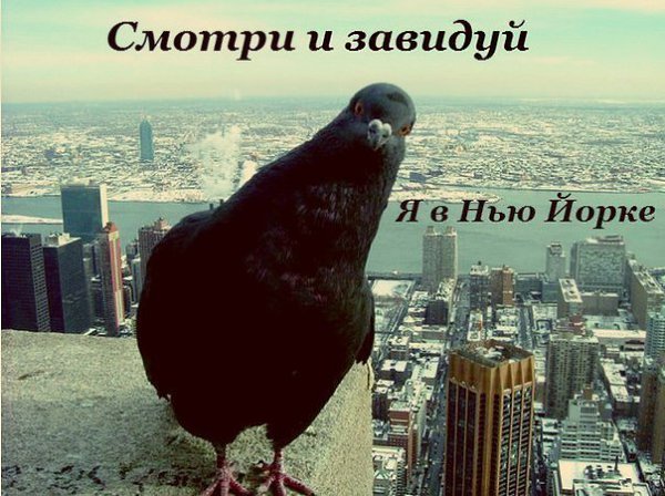  - 12  2021  16:48