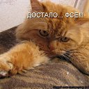 ���� ���������, ���� - ��������� 15 ������� 2021 � ������ ���� ����������