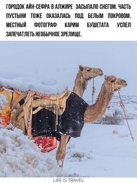 Заснеженная Сахара. В крупнейшей пустыне мира выпал снег - 2