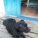 ���� ����, ����, 47 ��� - ��������� 23 �������� 2021 � ������ ���� ����������