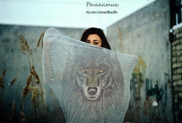 Есть женщины — они прекрасны, В их венах от волчицы кровь бежит. Их взор всегда пленяет ясный, ...