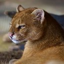 ���� ��������, �������� - ��������� 19 ������� 2021