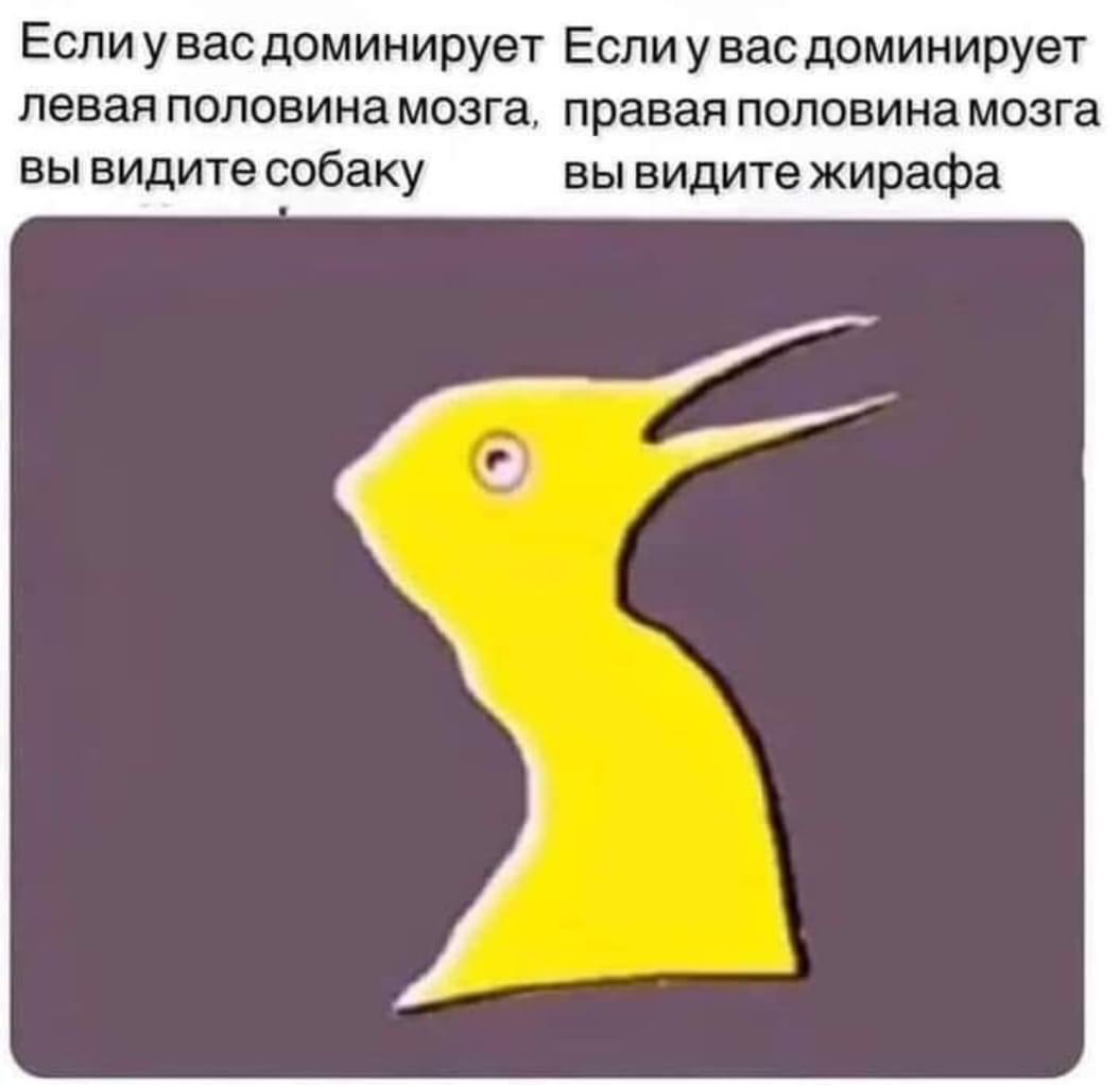   - 28  2022  23:38