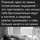 ���� ������, �����-���������, 61 ��� - ��������� 28 ������ 2022 � ������ ������ ��������