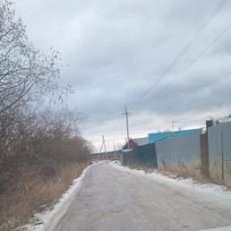 ���� ����������, ������������, 43 ���� - ��������� 4 ������� 2021