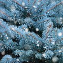 ���� �������, ��, �������� - ��������� 26 ������� 2021 � ������ ���� ����������