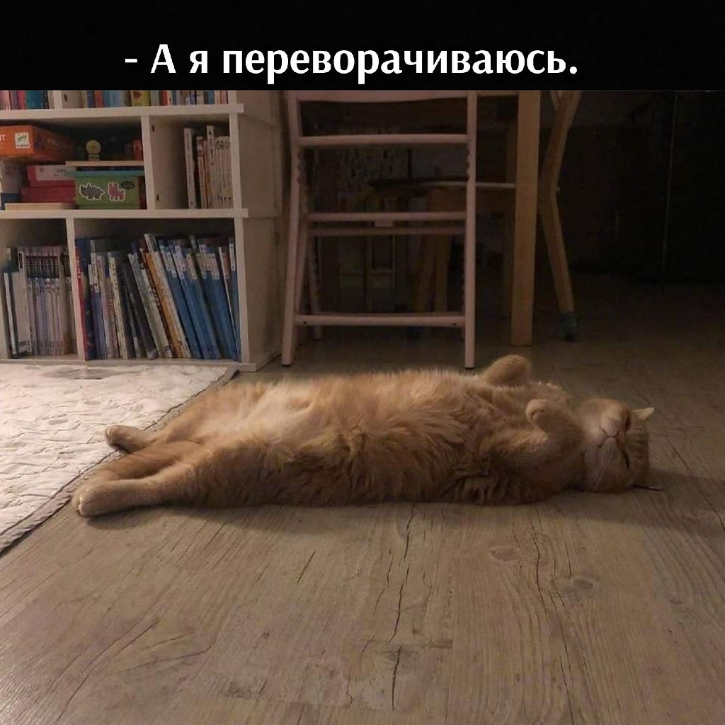       - 3  2021  12:28 - 2