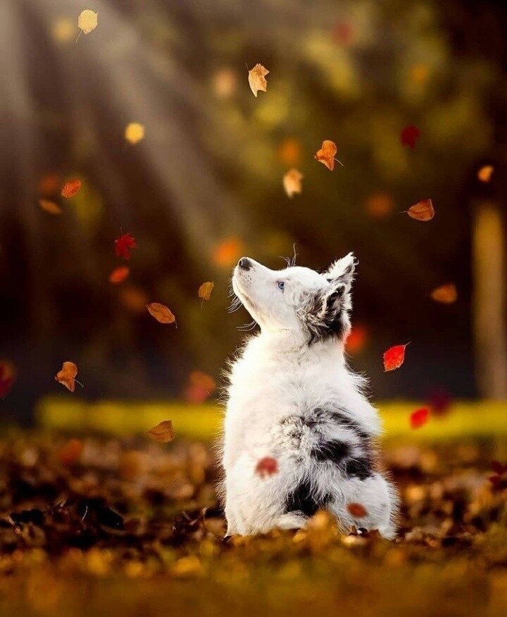  - ...   ...    ,    ...   ... - 2