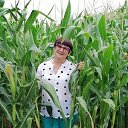 ���� ������, ���������, 72 ���� - ��������� 8 ������� 2021 � ������ ���� ����������