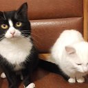 ���� ��������, ��������, 50 ��� - ��������� 24 ������� 2021