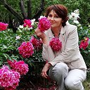 ���� ���������, ������� - ��������� 12 ������ 2021 � ������ ���� ����������