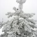  ,  -  29  2021    