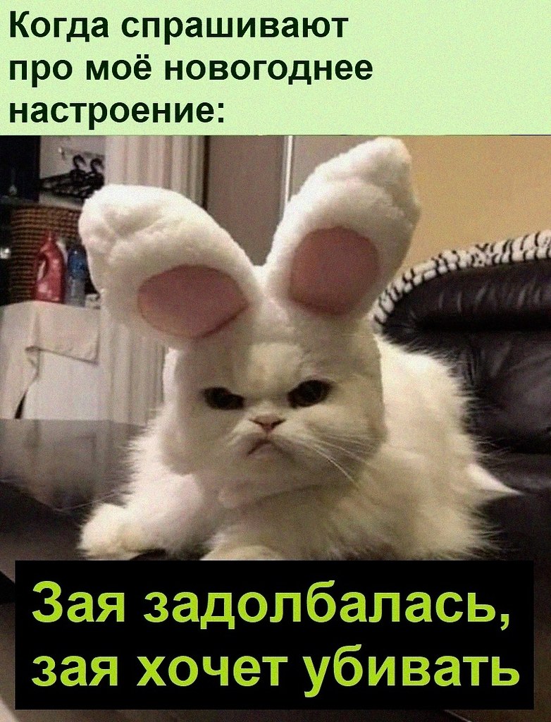   :D - 27  2021  16:33