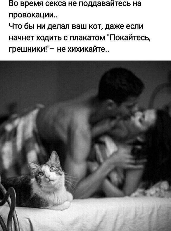 День Секса Картинки Прикольные День Секса Картинки Прикольные