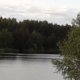 �������, ������