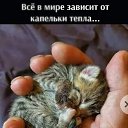 ���� �������, ������ - ��������� 20 ������ 2021 � ������ ���� ����������