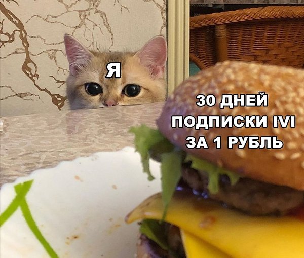 Онлайн-кинотеатр IVI - 30 дней подписки за 1 в подарок! Переходи по этой ссылке: ...