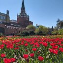 ���� ���������, ���������������, 61 ��� - ��������� 17 ��� 2021 � ������ �������