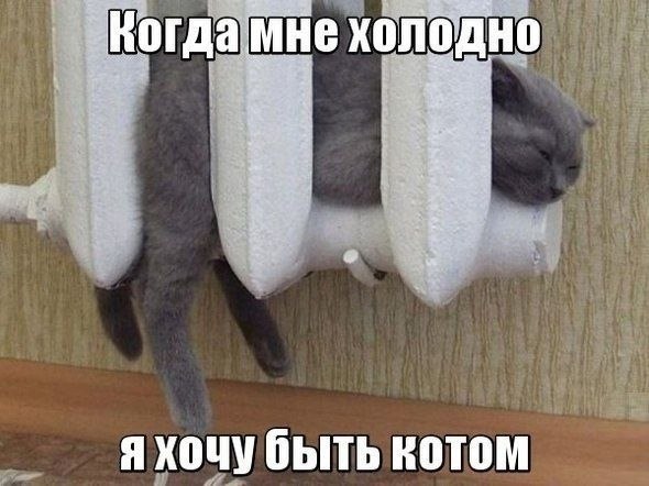 ��� �������� �������� - 25 ������ 2021 � 04:36