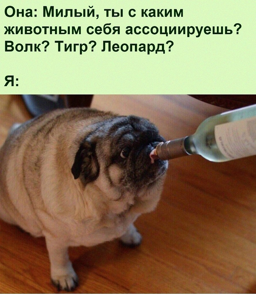   :D - 27  2021  18:31