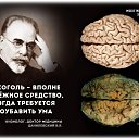 ���� Polikarpoff, ������ - ��������� 20 ������ 2022 � ������ ����