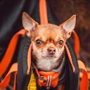 ���� �������, �����-���������, 59 ��� - ��������� 1 ���� 2021 � ������ ���� ����������