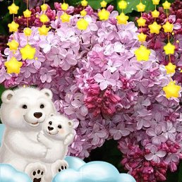 ����, �������, 56 ���