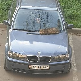 ����, ������, 33 ����