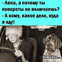 ���� �����, ���� - ��������� 27 ������� 2021 � ������ ���� ����������