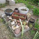 ���� ����, �����, 71 ��� - ��������� 11 ���� 2021 � ������ ���� ����������