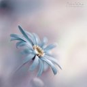 ���� �������, ����� - ��������� 17 ������ 2021 � ������ ���� ����������