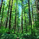 ���� ���������, ������, 39 ��� - ��������� 31 ����� 2021 � ������ ���� ����������