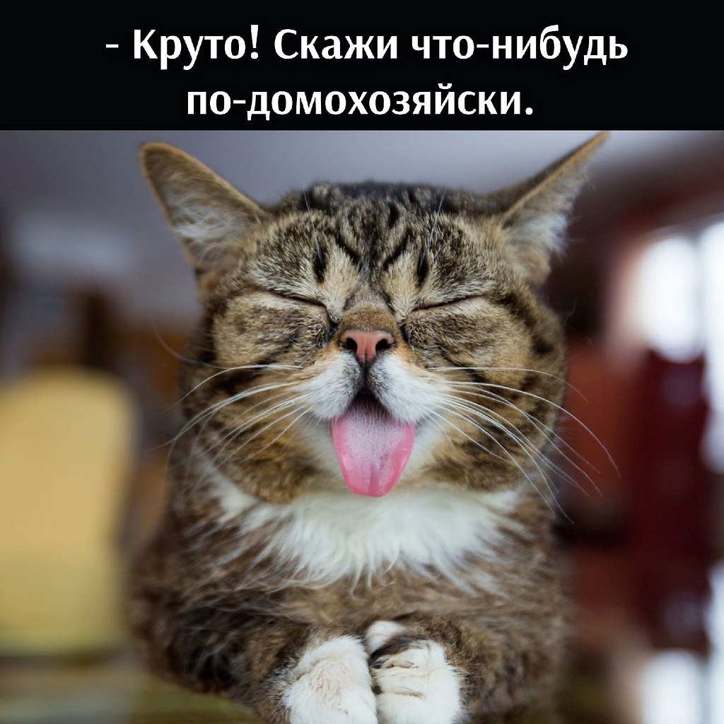       - 8  2021  22:36 - 3