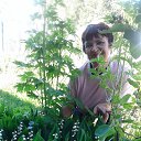 ���� ��������, ����������� - ��������� 26 ���� 2021 � ������ ���� ����������