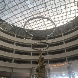 �����, ����